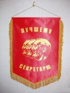 Вымпел Лучшему Секретарю [Увеличить] 