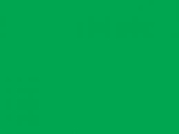 Зеленый флаг