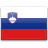 Флаг Словении с креплением на боковое стекло автомобиля