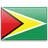 Флаг Гайаны с креплением на боковое стекло автомобиля