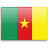 Флаг Камеруна с креплением на присоске на крыло автомобиля